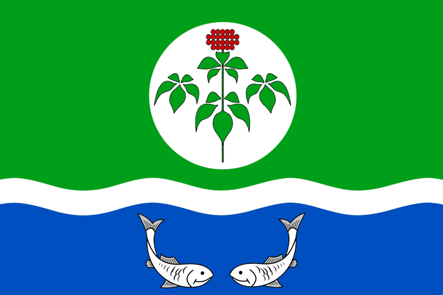 Флаг Ольгинского муниципального округа.